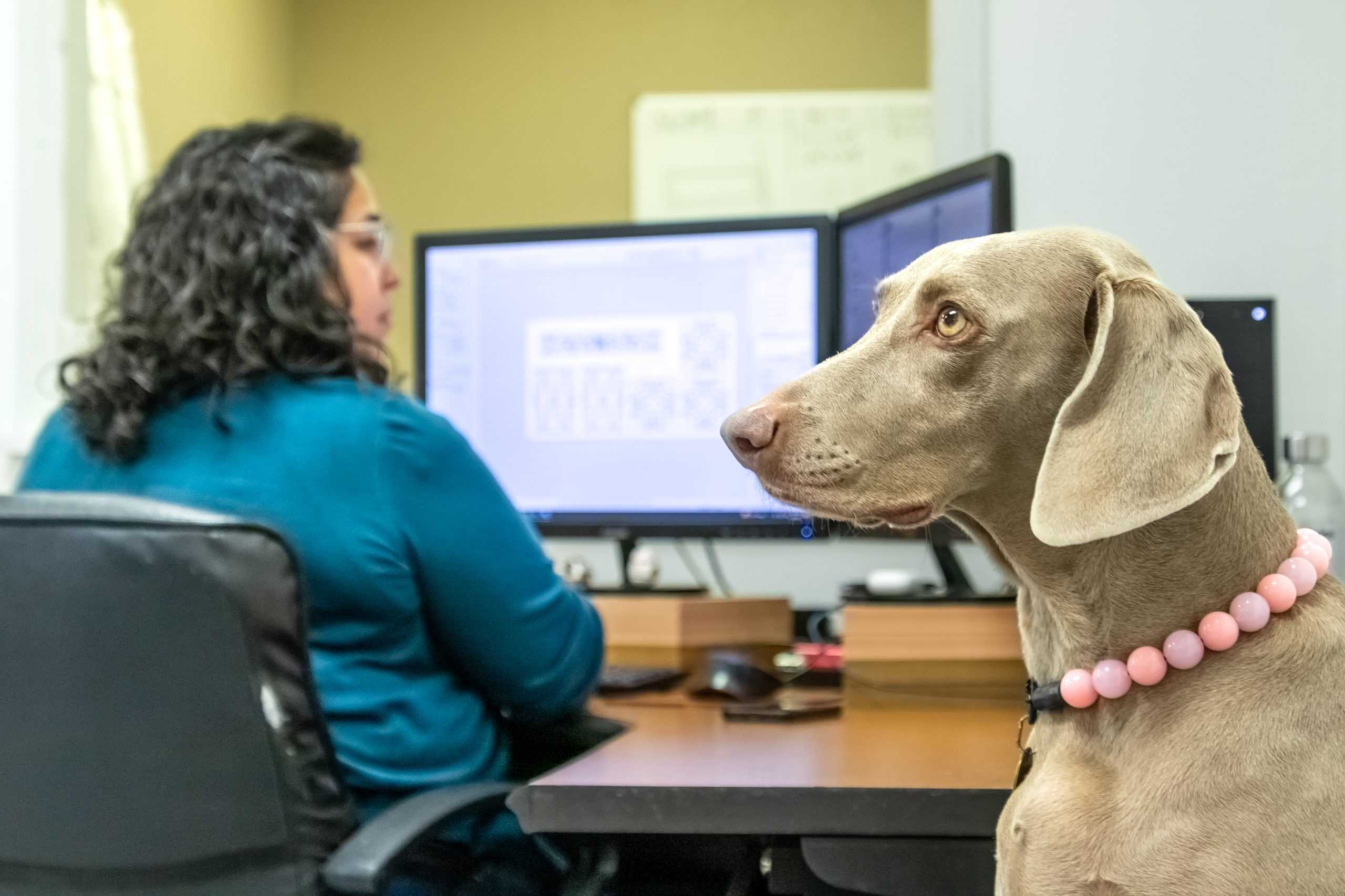 Tableaux 03-09-23 (2)